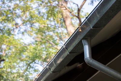 Gutter Cleaning and Inspection