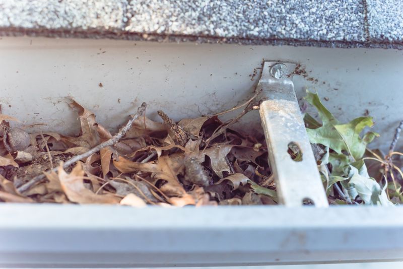 Clogged Gutter Removal